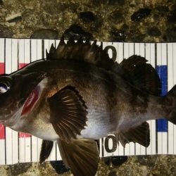 流れの中の変化